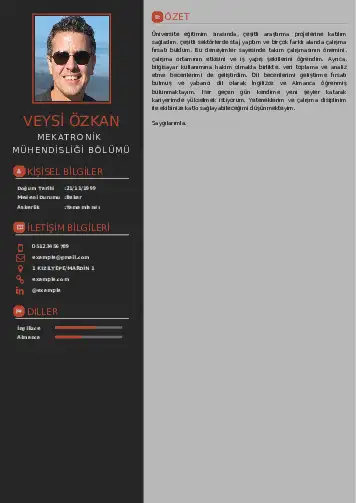 Mekatronik Mühendisliği Cv Örnekleri cv indir